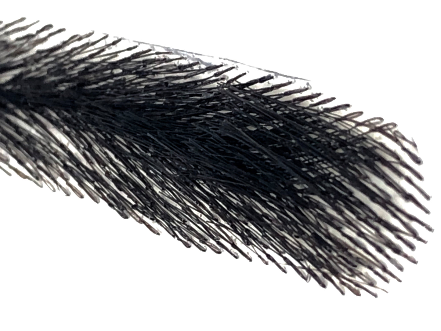 InstaBrows - George False Brows for Men